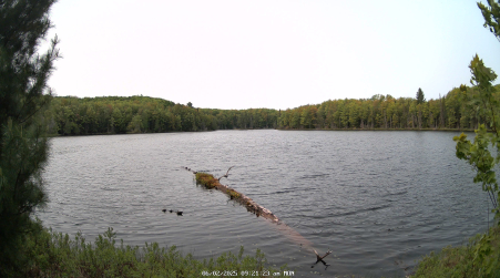 Image from 2025-06-02