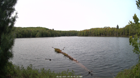 Image from 2025-06-02