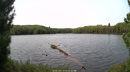 Image from 2025-06-02