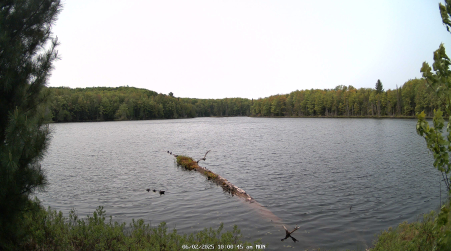 Image from 2025-06-02