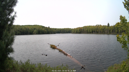 Image from 2025-06-02