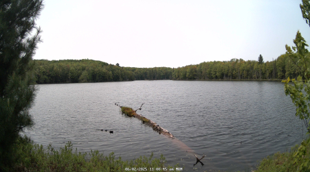 Image from 2025-06-02