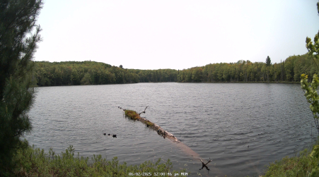 Image from 2025-06-02