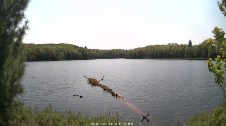 Image from 2025-06-02