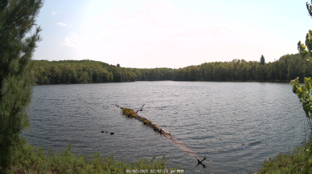 Image from 2025-06-02