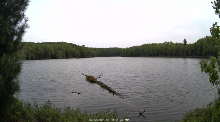 Image from 2025-06-02