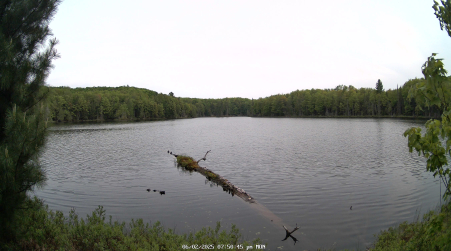 Image from 2025-06-02