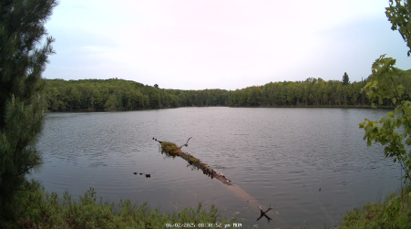 Image from 2025-06-02