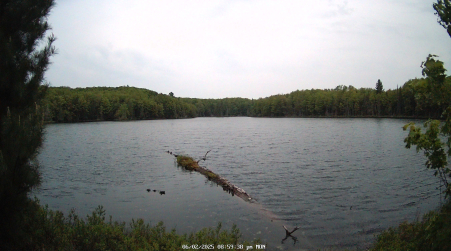 Image from 2025-06-02