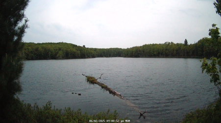 Image from 2025-06-02