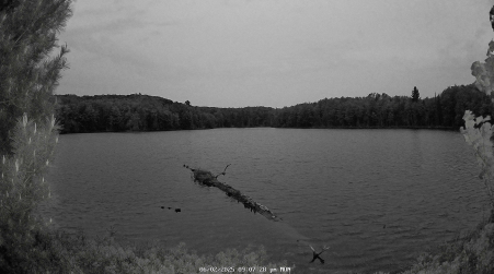 Image from 2025-06-02