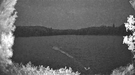 Image from 2025-06-02
