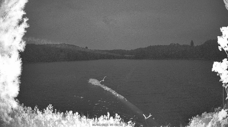 Image from 2025-06-02