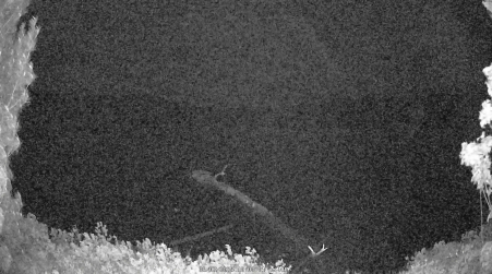 Image from 2025-06-02