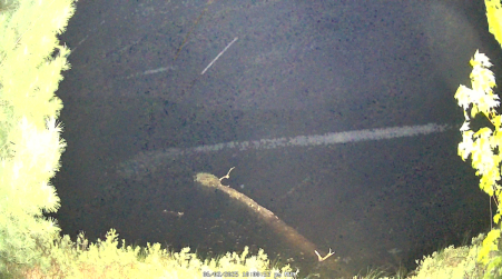 Image from 2025-06-02