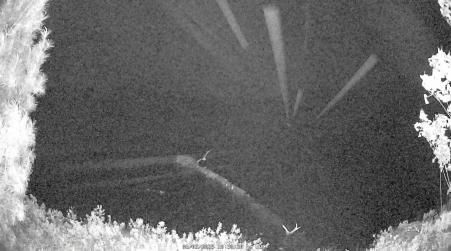 Image from 2025-06-02