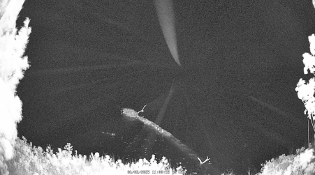 Image from 2025-06-02