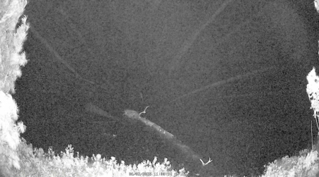 Image from 2025-06-02