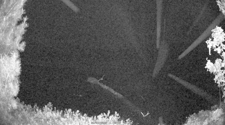 Image from 2025-06-02