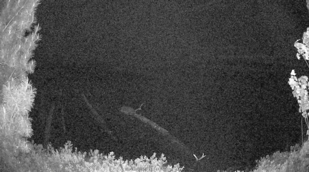 Image from 2025-06-02
