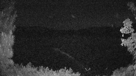 Image from 2025-06-03