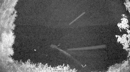 Image from 2025-06-03