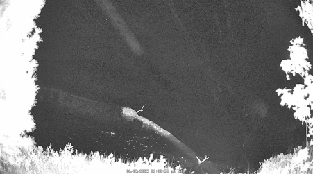 Image from 2025-06-03