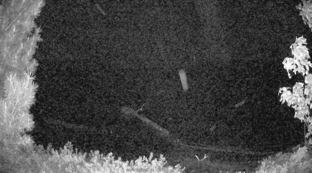 Image from 2025-06-03