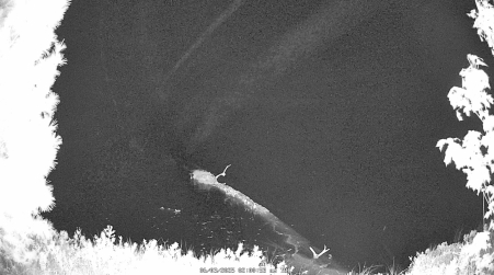 Image from 2025-06-03