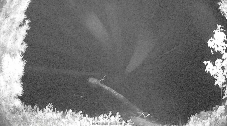 Image from 2025-06-03