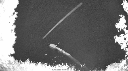 Image from 2025-06-03