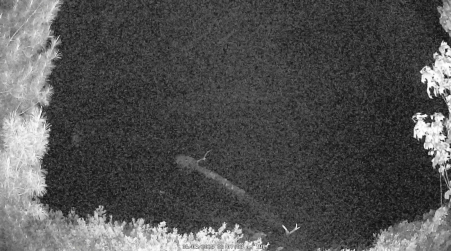 Image from 2025-06-03