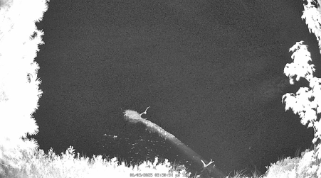 Image from 2025-06-03
