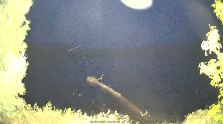 Image from 2025-06-03