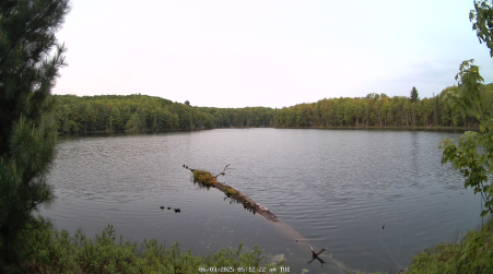 Image from 2025-06-03