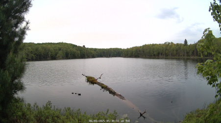 Image from 2025-06-03