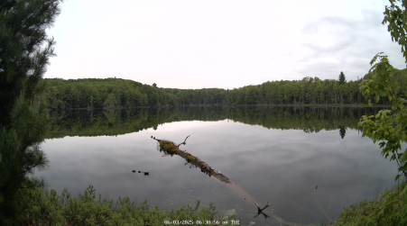 Image from 2025-06-03