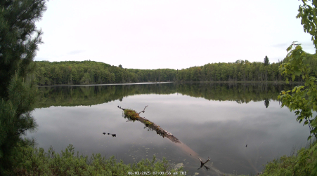 Image from 2025-06-03
