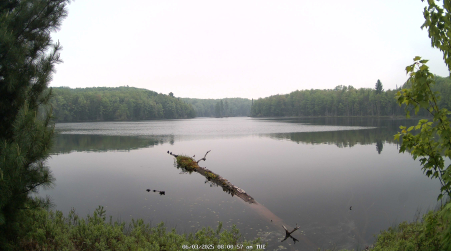 Image from 2025-06-03