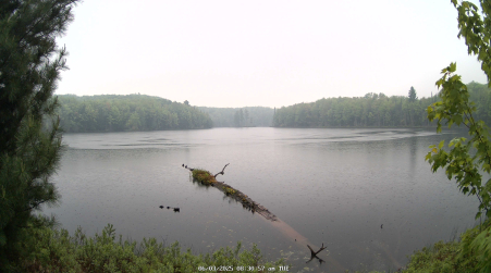 Image from 2025-06-03