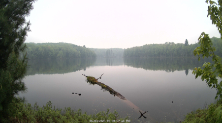 Image from 2025-06-03