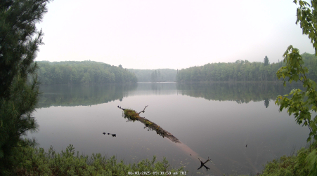 Image from 2025-06-03