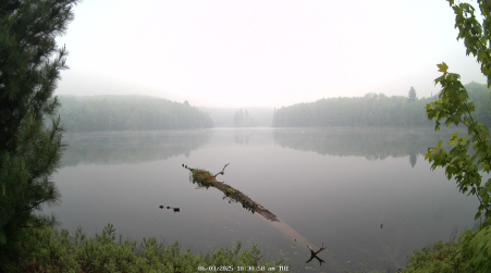 Image from 2025-06-03