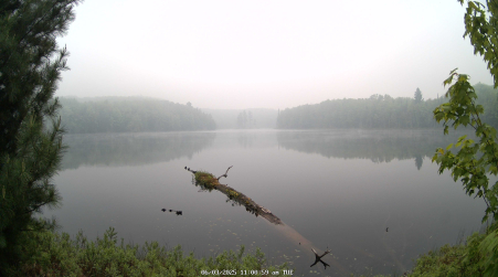 Image from 2025-06-03