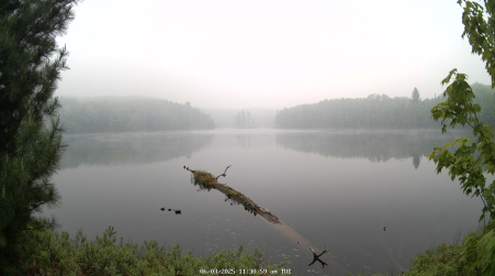 Image from 2025-06-03