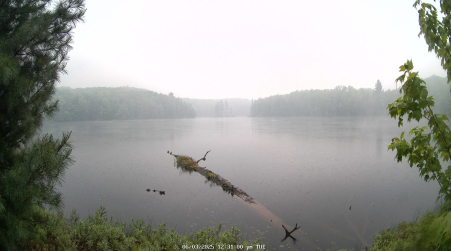Image from 2025-06-03