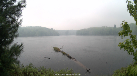 Image from 2025-06-03
