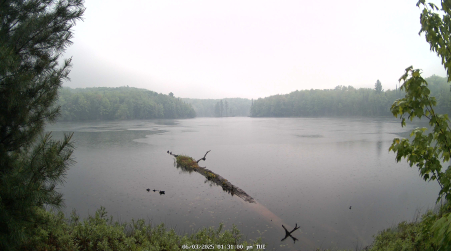 Image from 2025-06-03