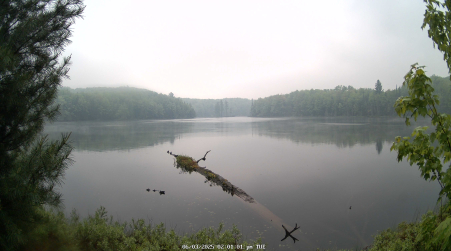 Image from 2025-06-03