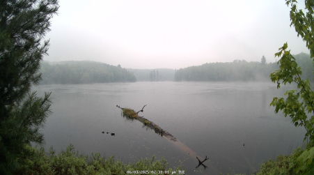 Image from 2025-06-03